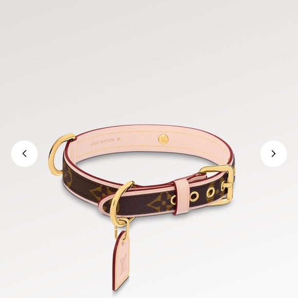 Louis Vuitton Dog Collar - Picture 3 of 12